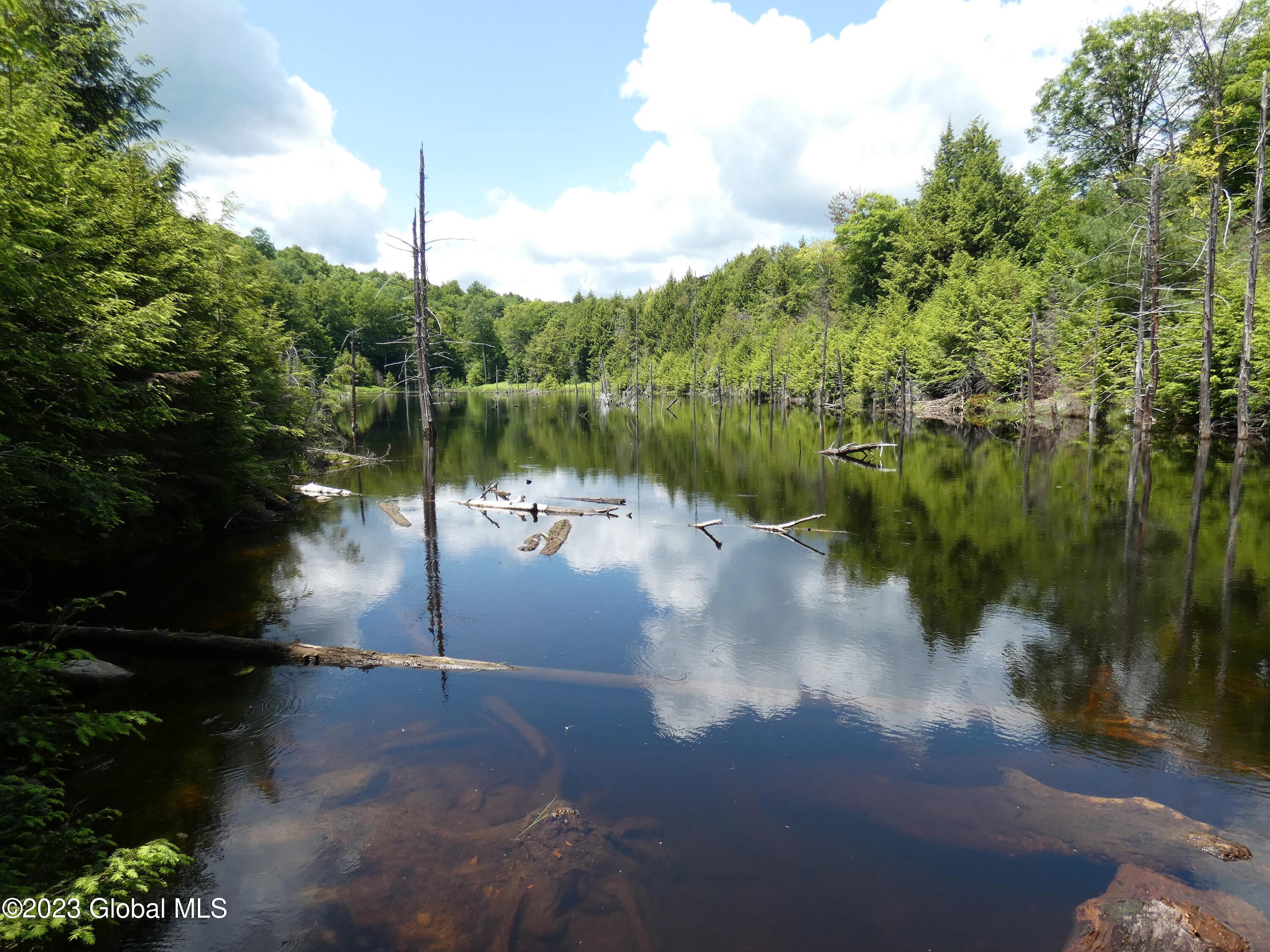 163 Combs Road Thurman, NY 12885 - Photo 22 of 57 P1020527