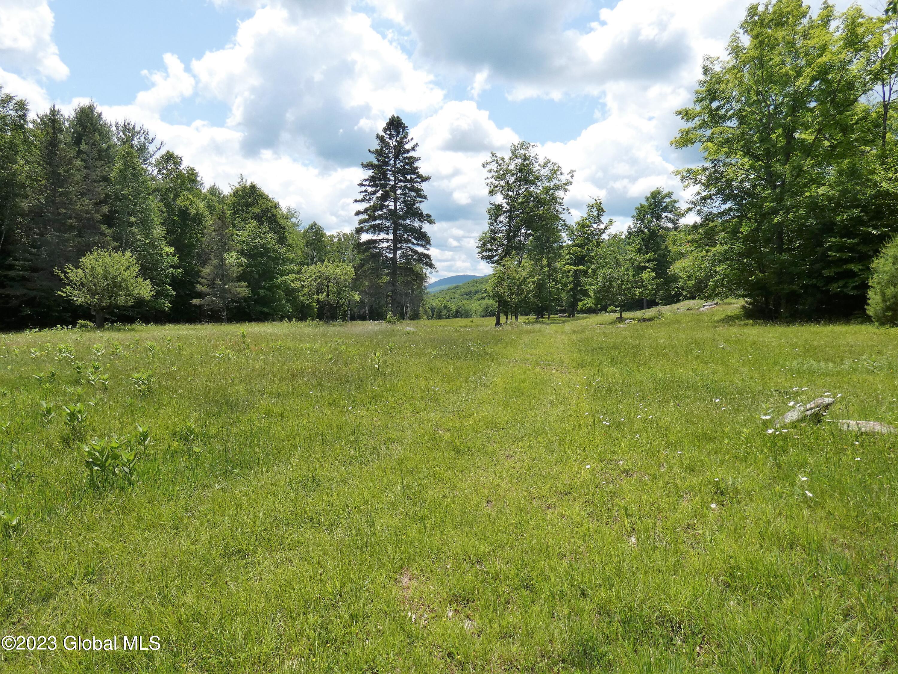 163 Combs Road Thurman, NY 12885 - Photo 24 of 57 P1020526
