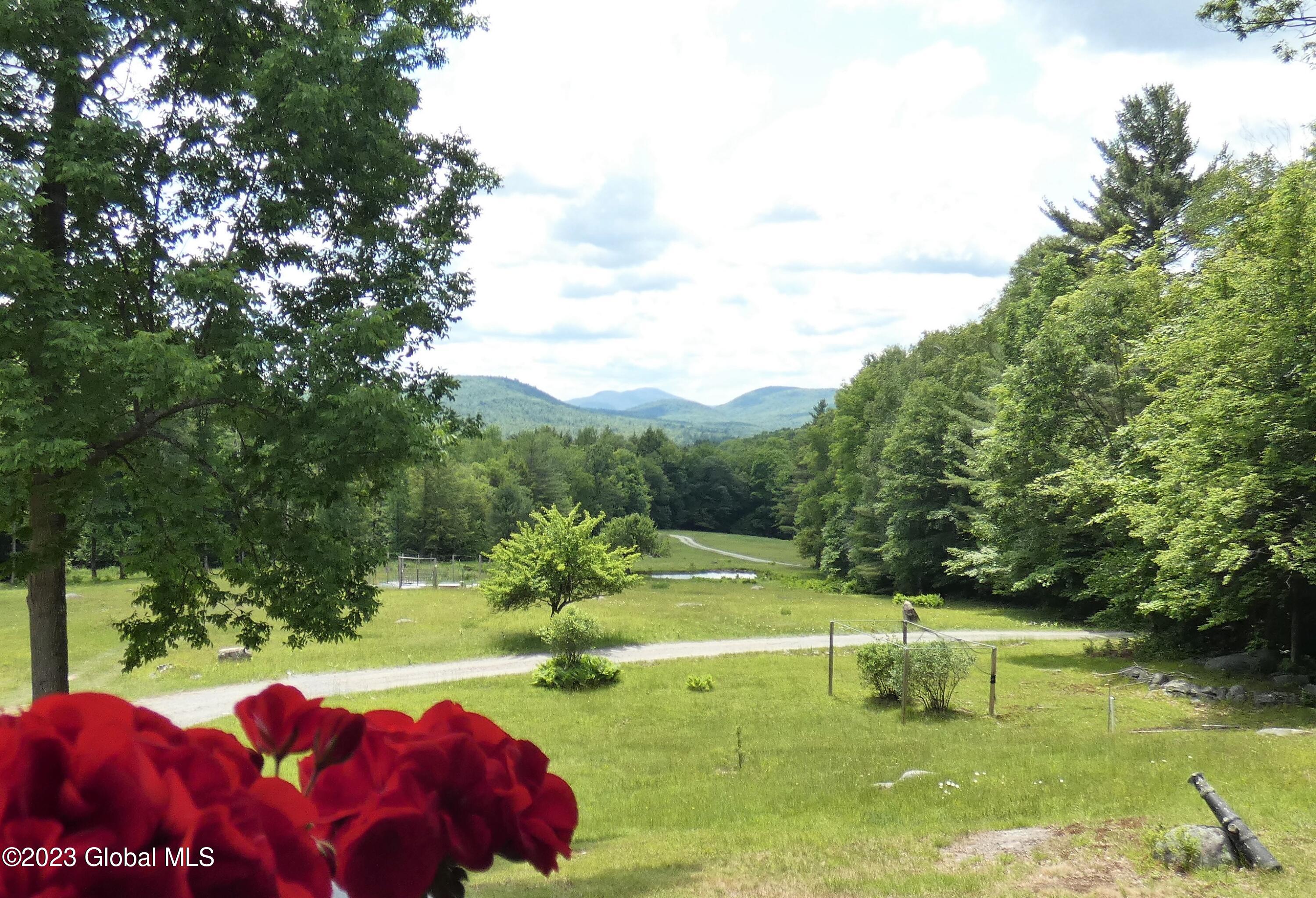 163 Combs Road Thurman, NY 12885 - Photo 8 of 57 P1020507