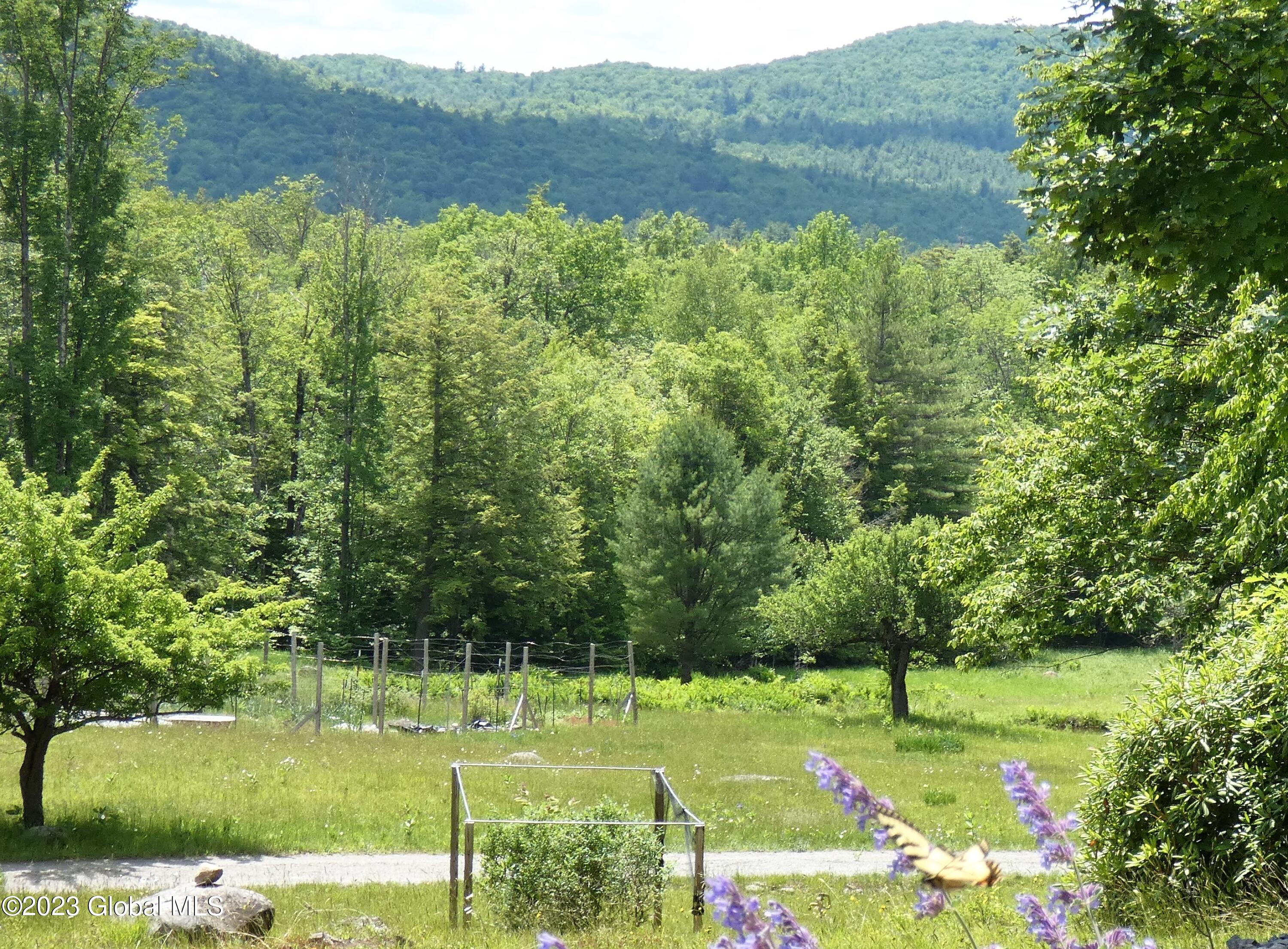 163 Combs Road Thurman, NY 12885 - Photo 9 of 57 P1020500