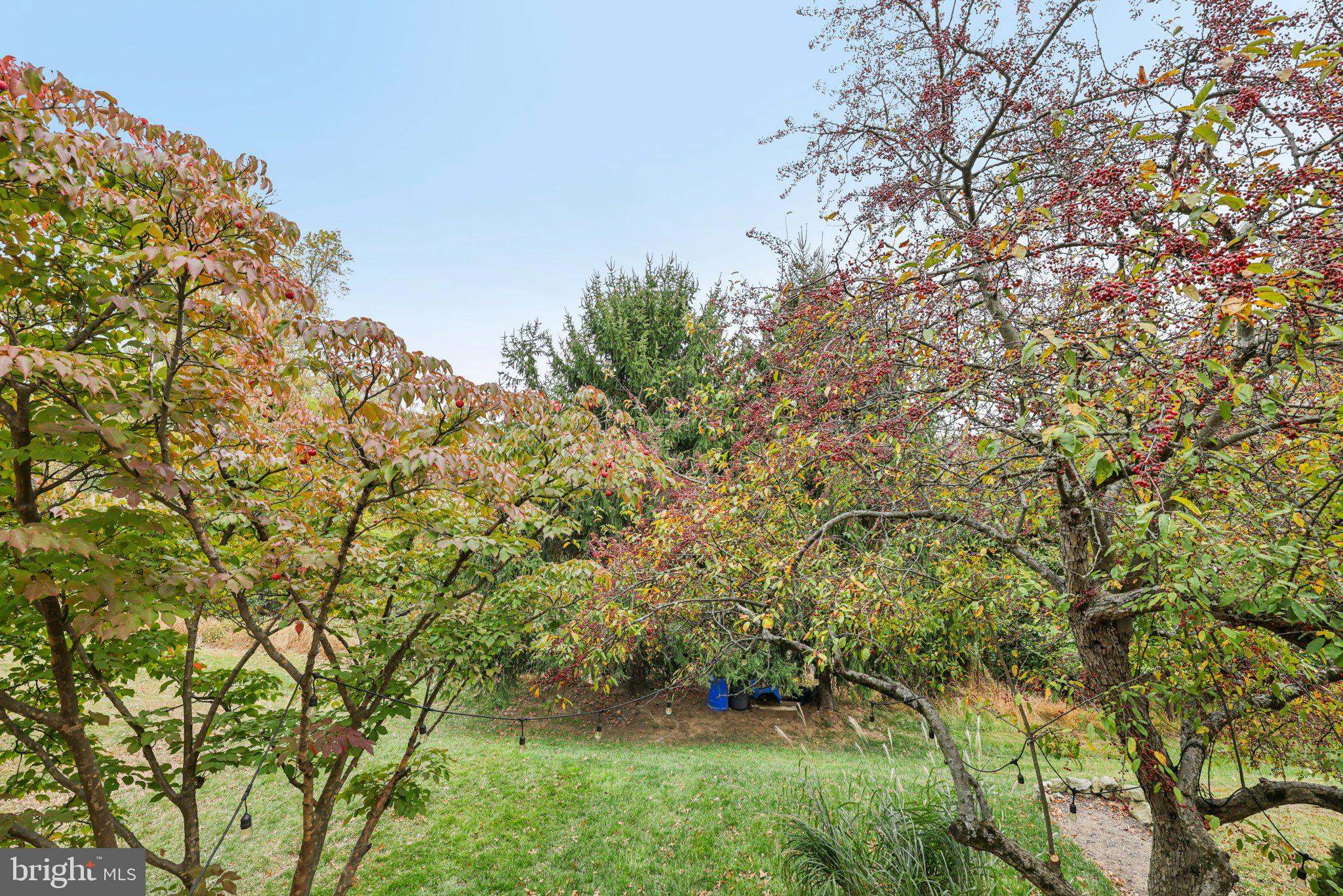 11 Old Forge Garth Sparks Glencoe, MD 21152 - Photo 29 of 39 a view of a garden