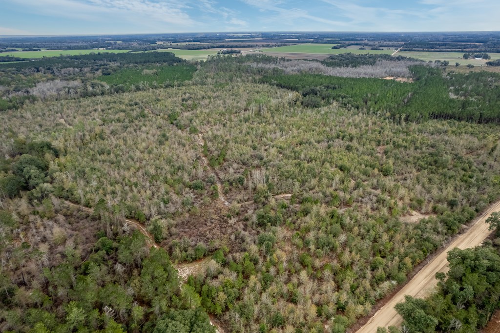 2 Pilgram Ch Road Gordon, AL 36343 - Photo 16 of 17