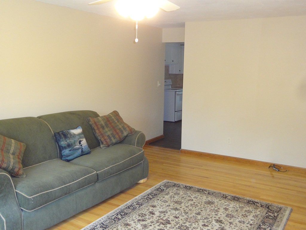 27 Bennington Street Springfield, MA 01108 - Photo 8 of 20 a living room with a couch and a rug