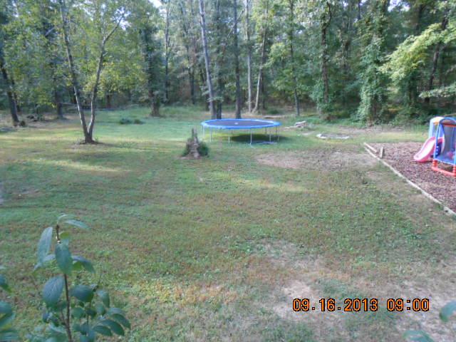 7063 Oak Springs Road Nunnelly, TN 37137 - Photo 12 of 16 back yard, level, trees