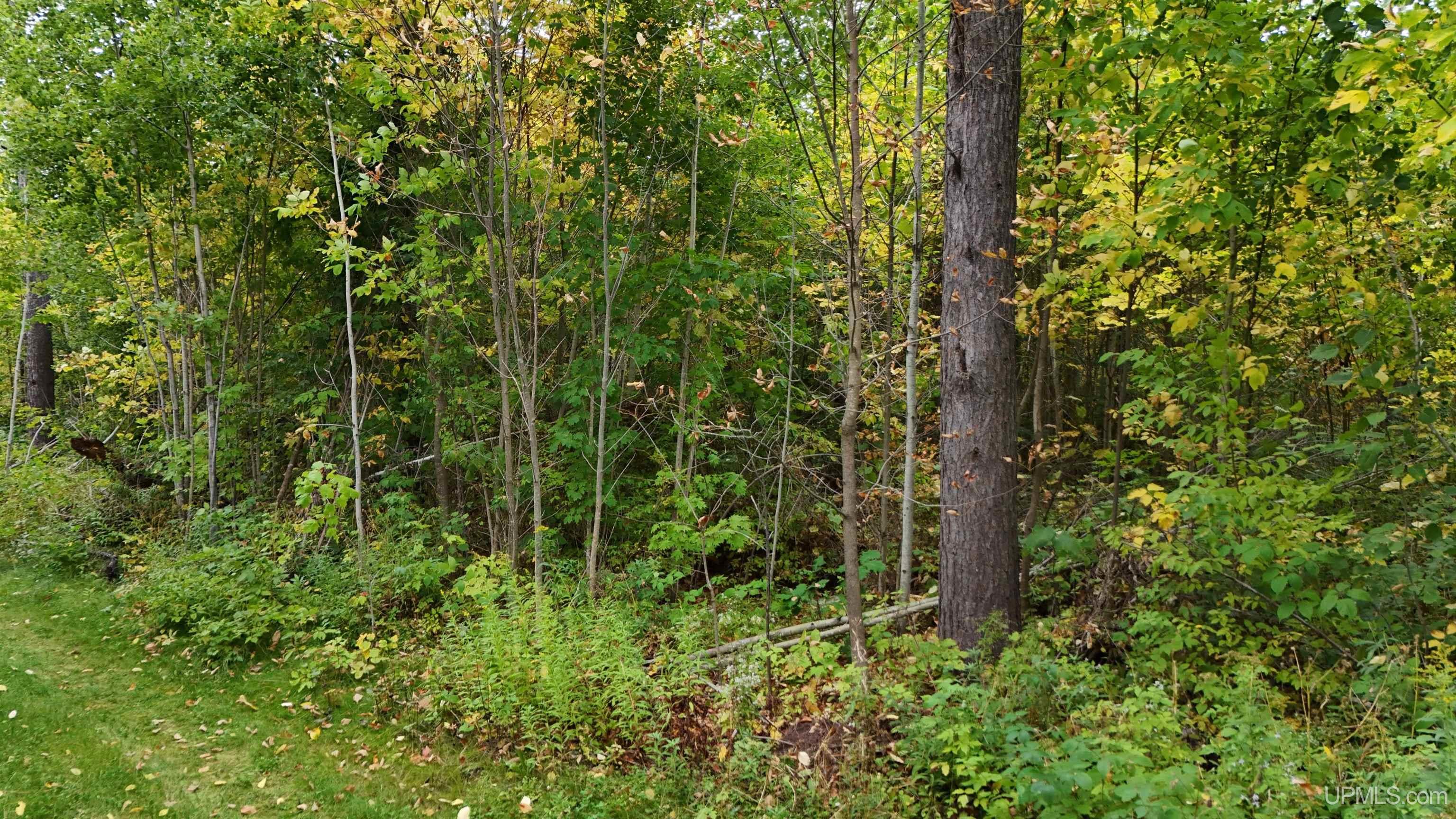 19 Norwich Road Ontonagon, MI 49953 - Photo 41 of 51