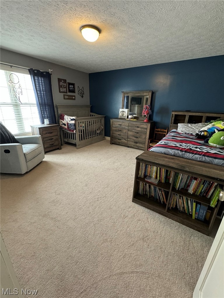 12626 Seville Road Sterling, OH 44276 - Photo 12 of 15 Gallery Image 12