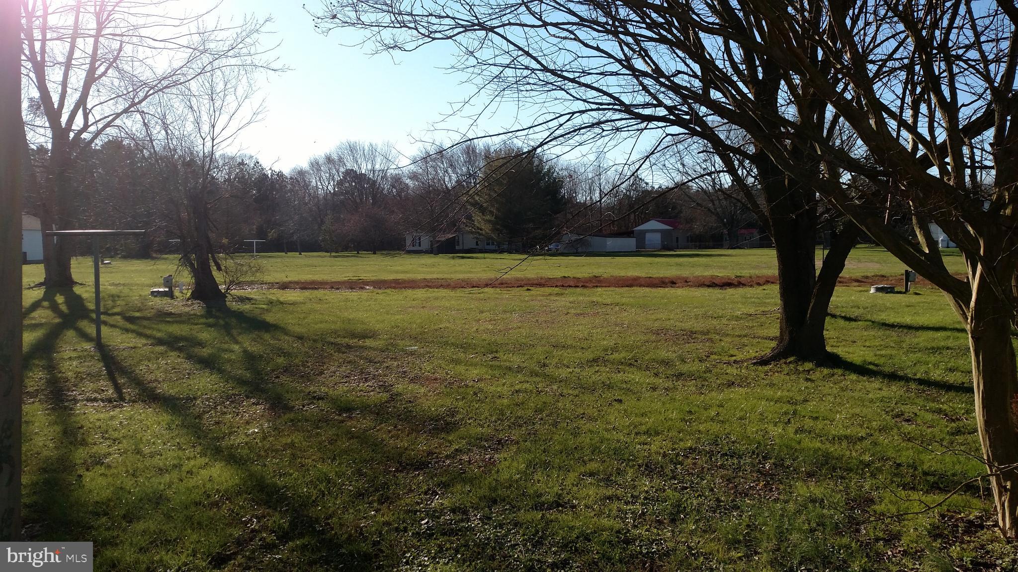 5342 Bucktown Road Cambridge, MD 21613 - Photo 27 of 33 Back yard view