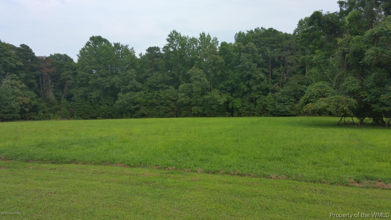 8770 Croaker Road Williamsburg, VA 23188 - Photo 13 of 15 013 Acreage 2 (1)