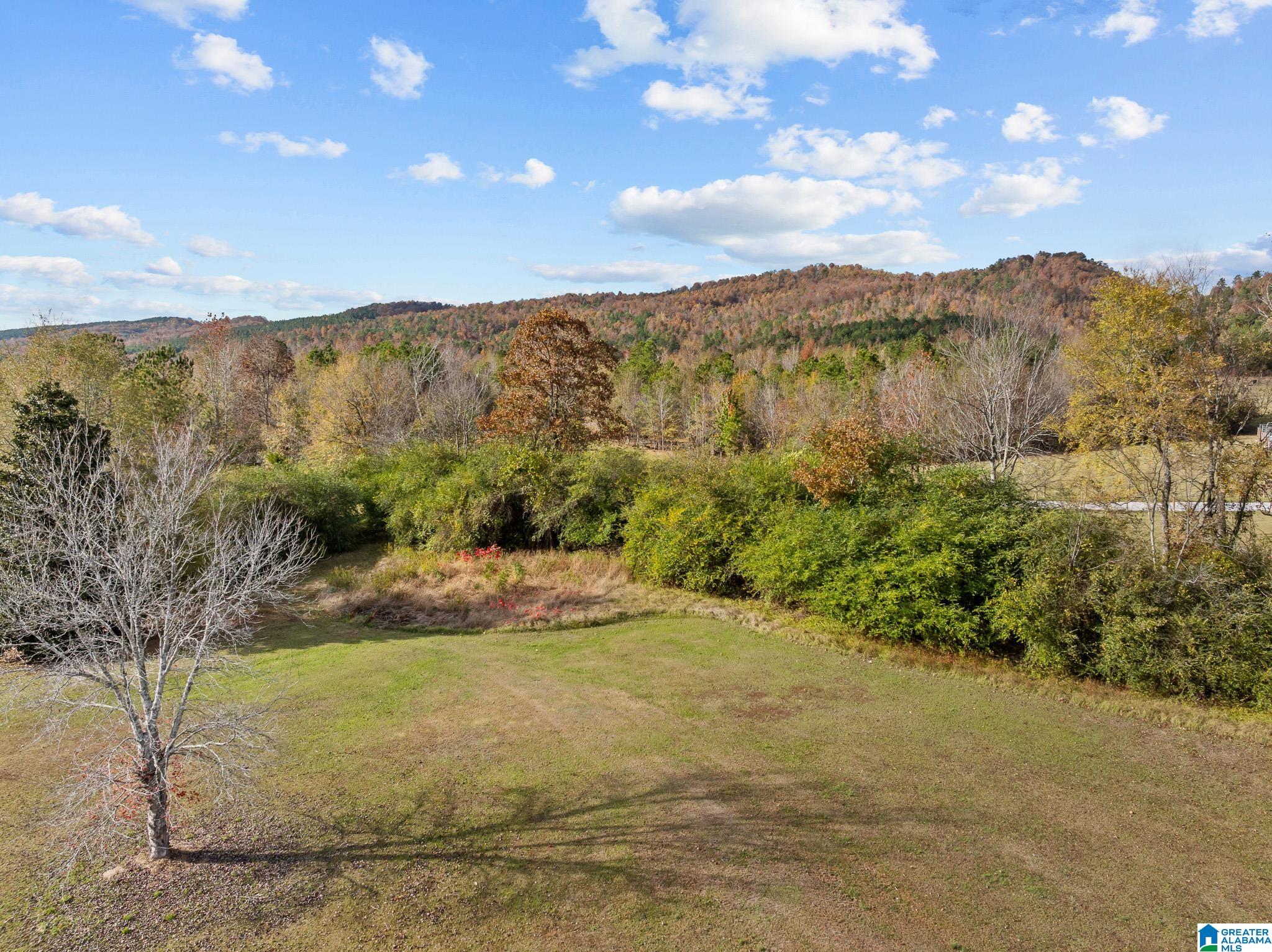0 Armstrong Road, Unit 2 Ashville, AL 35953 - Photo 4 of 6