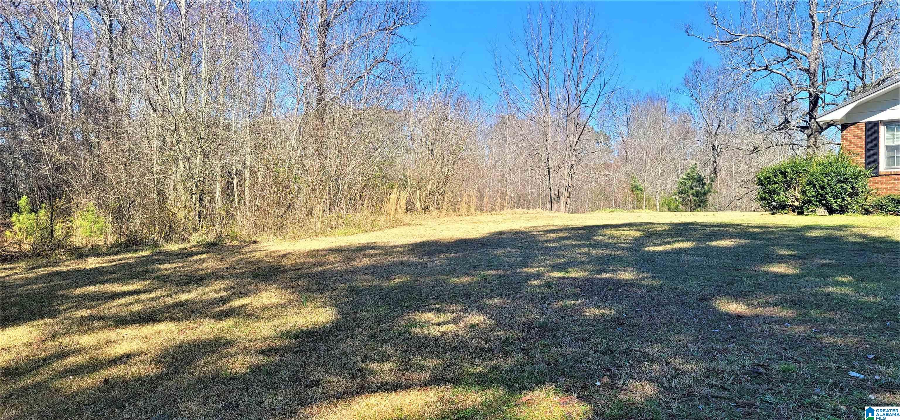 14511 Highway 46 Heflin, AL 36264 - Photo 10 of 36