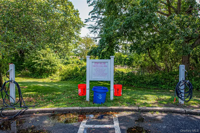 a view of a park with large trees