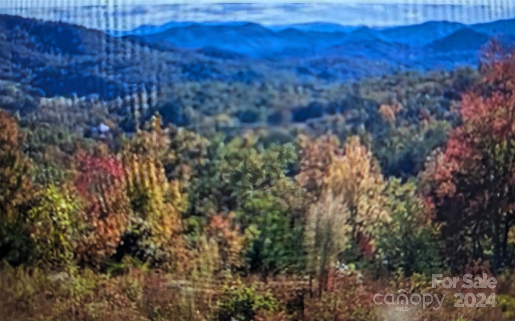 0 Leatherman Raby Road Franklin, NC 28734 - Photo 1 of 1 Gallery Image 1