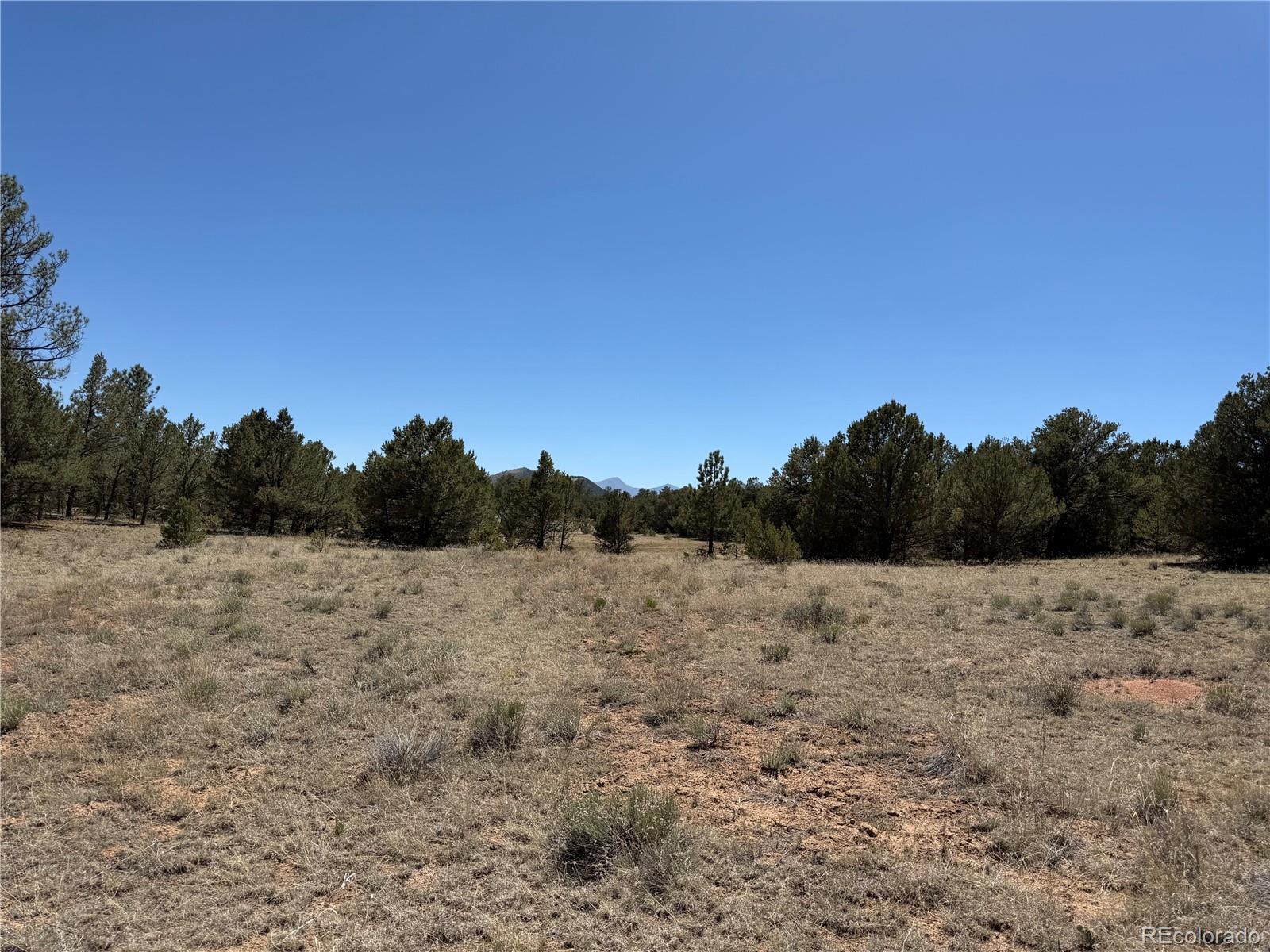520 West View Road Cotopaxi, CO 81223 - Photo 23 of 28 Gallery Image 23