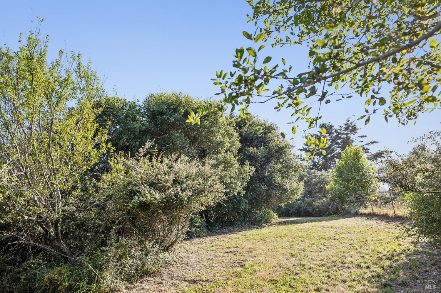 5 Lauff Ranch Road Bolinas, CA 94924 - Photo 75 of 92