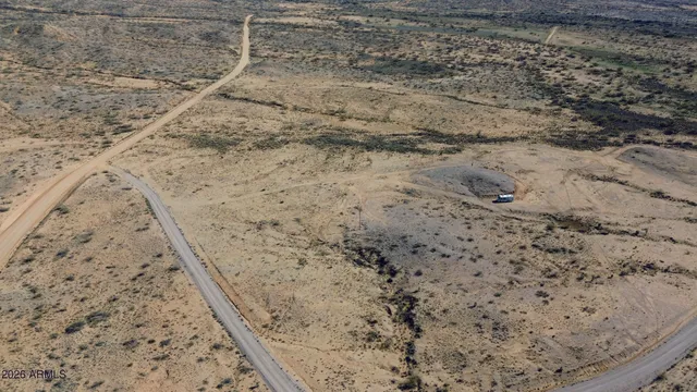 a view of a dry yard with trees