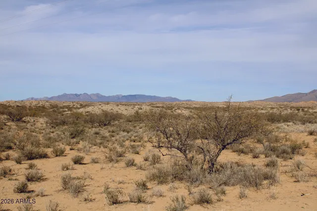 a view of a dry yard with green space