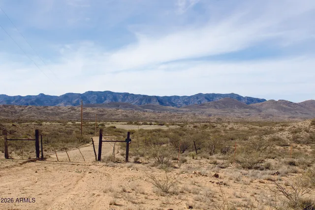 a view of a dry yard