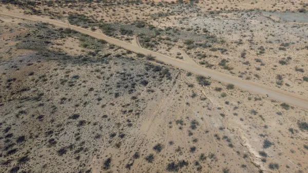 a close up of a field