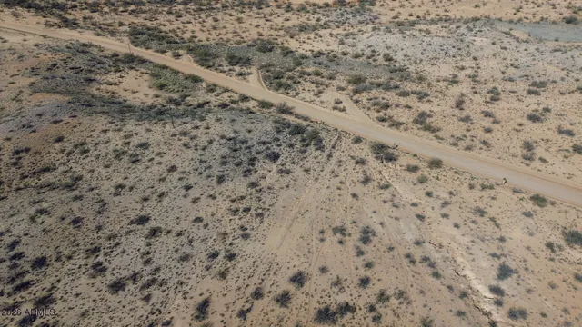 a close up of a field