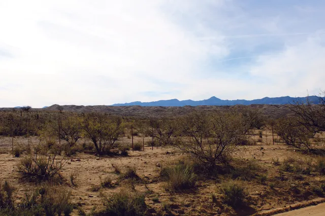 a view of a lake with a mountain in the background