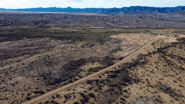 a view of a dry yard with trees