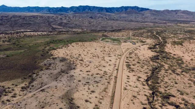 a view of a dry yard with trees