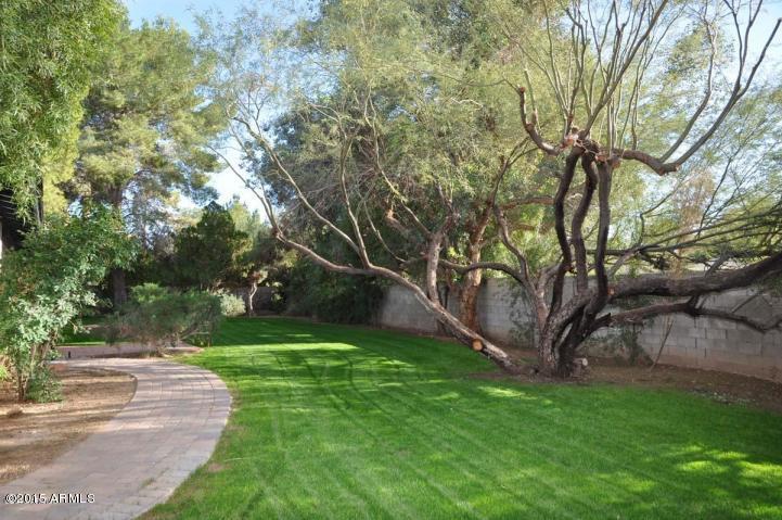633 East Winged Foot Road Phoenix, AZ 85022 - Photo 48 of 49 633 WINGEDFOOT --REAR YARD 2 OLD