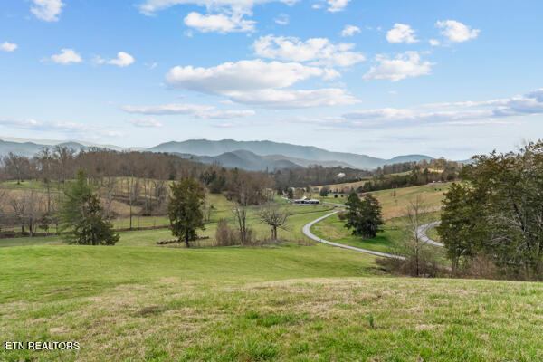 518 Old Cedar Creek Road Townsend, TN 37882 - Photo 47 of 60 518 old cedar creek 28