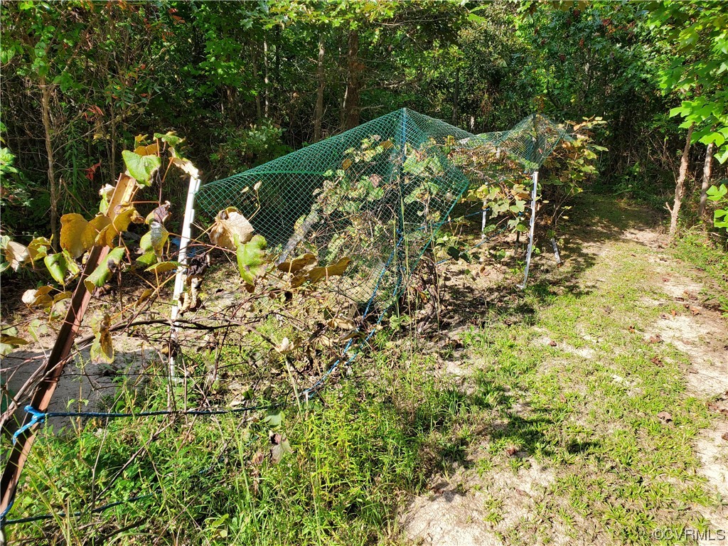 17.21-acres 17.21-acres Hicks Lane Road Rice, VA 23966 - Photo 12 of 13 a view of a yard with plants