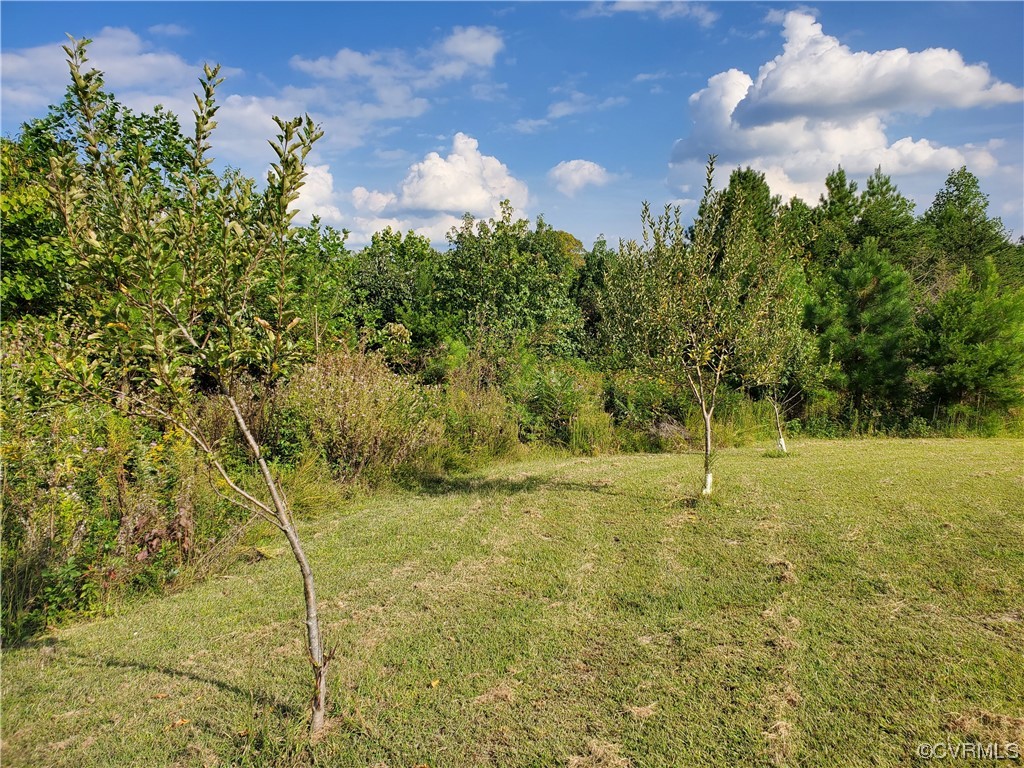 17.21-acres 17.21-acres Hicks Lane Road Rice, VA 23966 - Photo 3 of 13 a view of a big yard