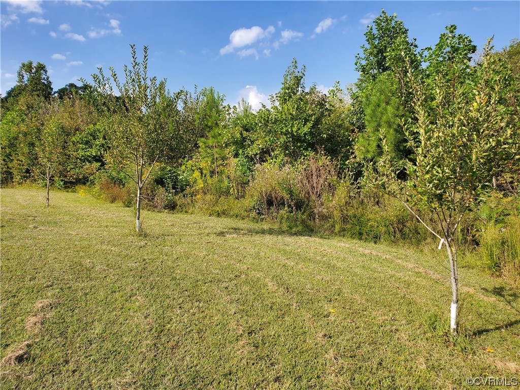 17.21-acres 17.21-acres Hicks Lane Road Rice, VA 23966 - Photo 4 of 13 a view of a field with trees in the background