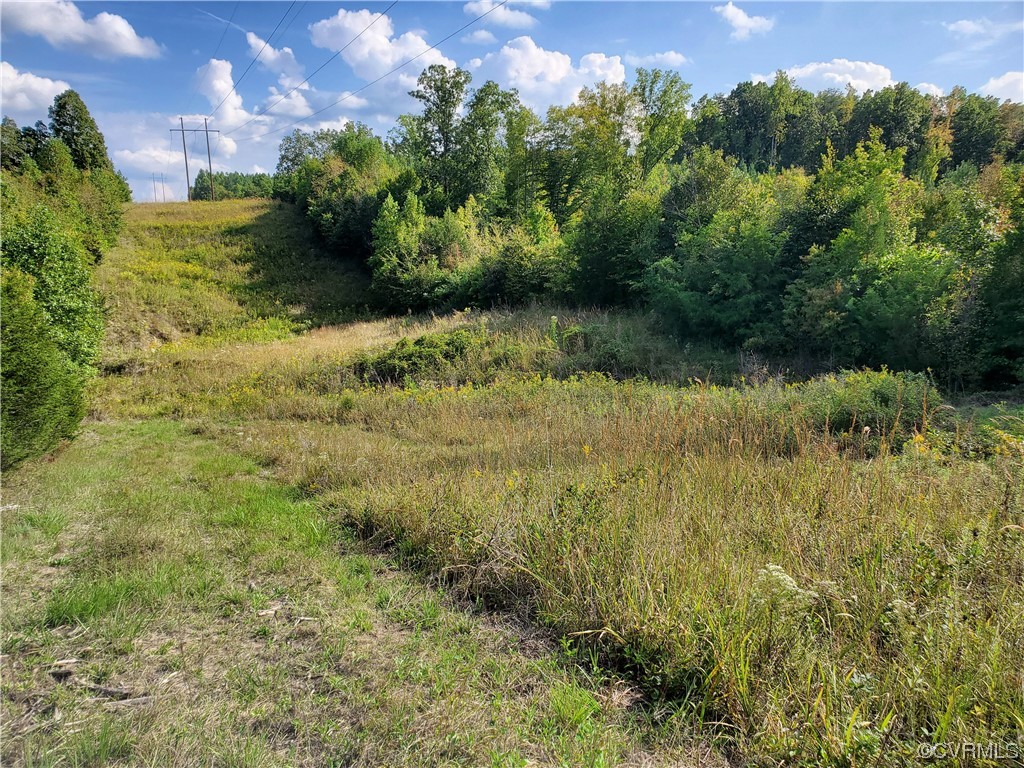 17.21-acres 17.21-acres Hicks Lane Road Rice, VA 23966 - Photo 7 of 13 a view of a garden
