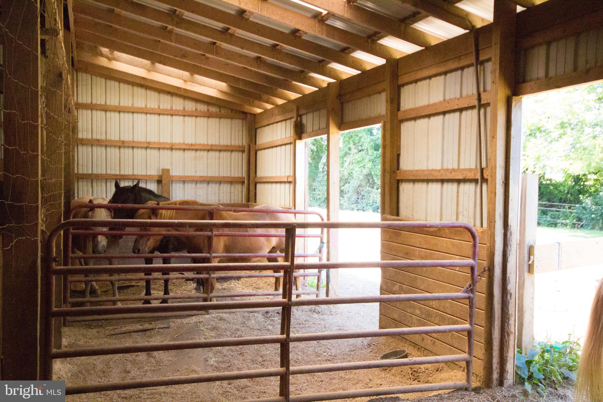 963 Bachmans Valley Road Westminster, MD 21157 - Photo 49 of 70 Stalls