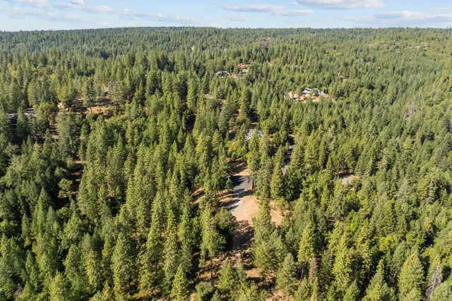 a view of a forest with an outdoor space