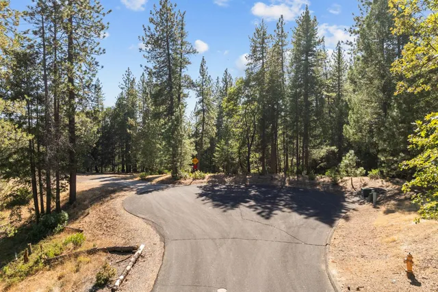 a view of a yard with plants and trees