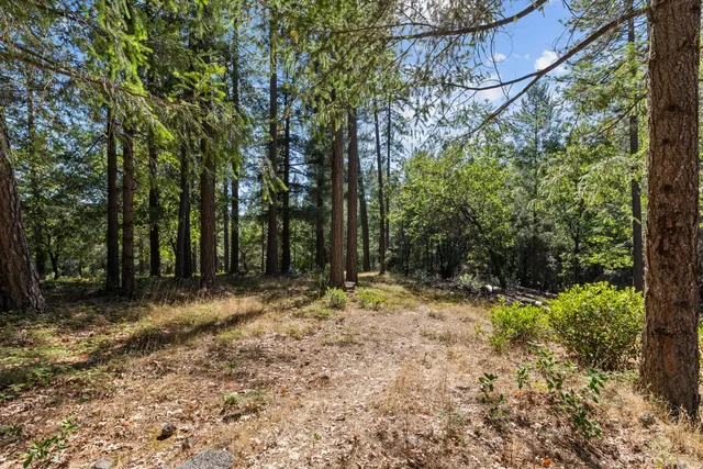 a backyard of a house with lots of green space