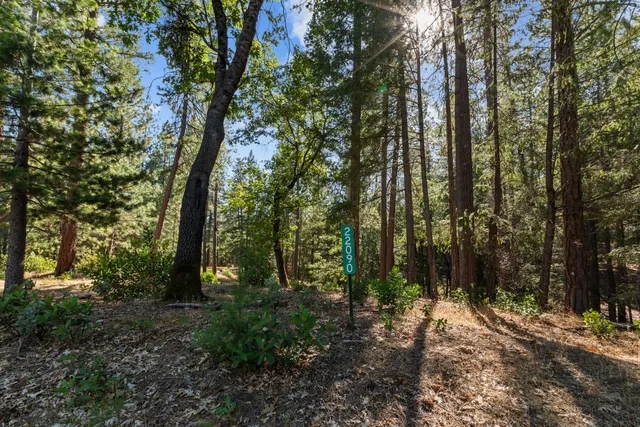 a view of outdoor space and trees