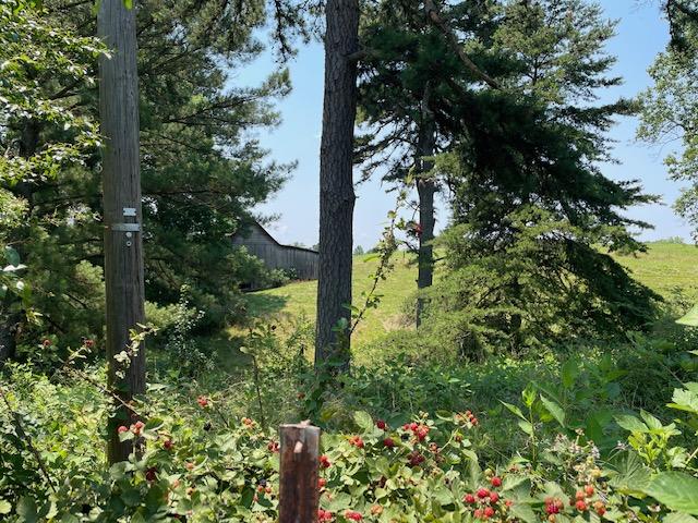 165 Lee Ford Camp Road Ridgeway, VA 24148 - Photo 28 of 30 IMG_1242