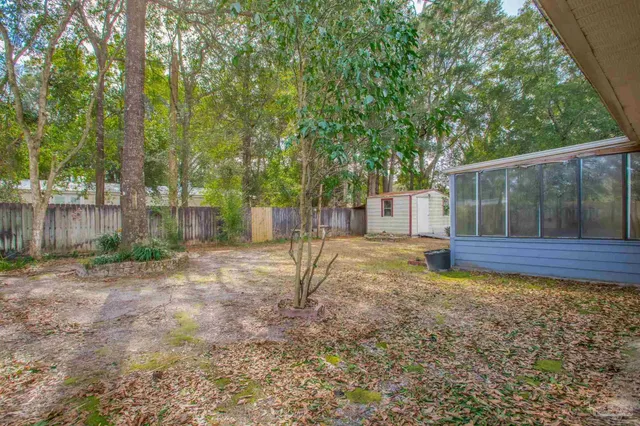a view of a backyard with plants and large trees