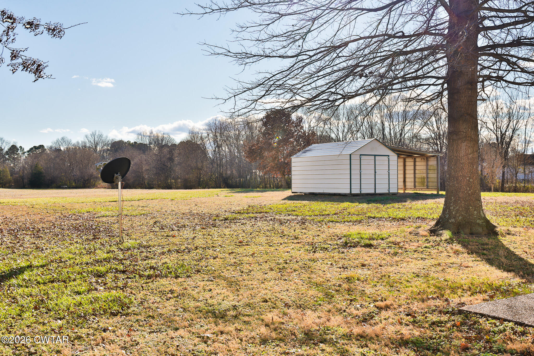 180 Everett Road McKenzie, TN 38201 - Photo 25 of 27 a view of a yard with large trees