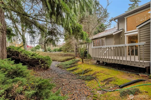a view of a backyard with plants and wooden fence