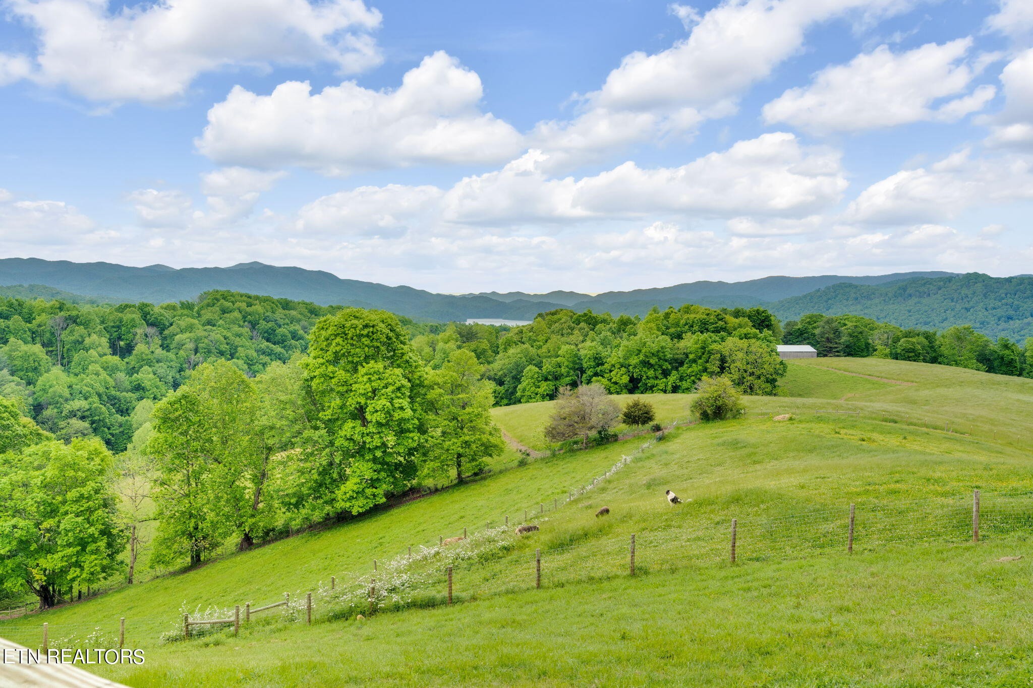 636 Dry Hill Road Butler, TN 37640 - Photo 45 of 51 Gallery Image 45