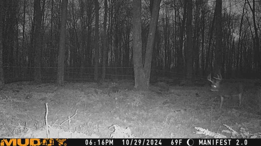 Springbrook Road Tigerton, WI 54486 - Photo 13 of 56