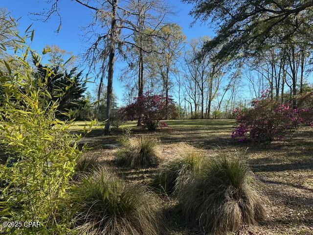 3511 Pipkin Road Bonifay, FL 32425 - Photo 29 of 46 Gallery Image 29