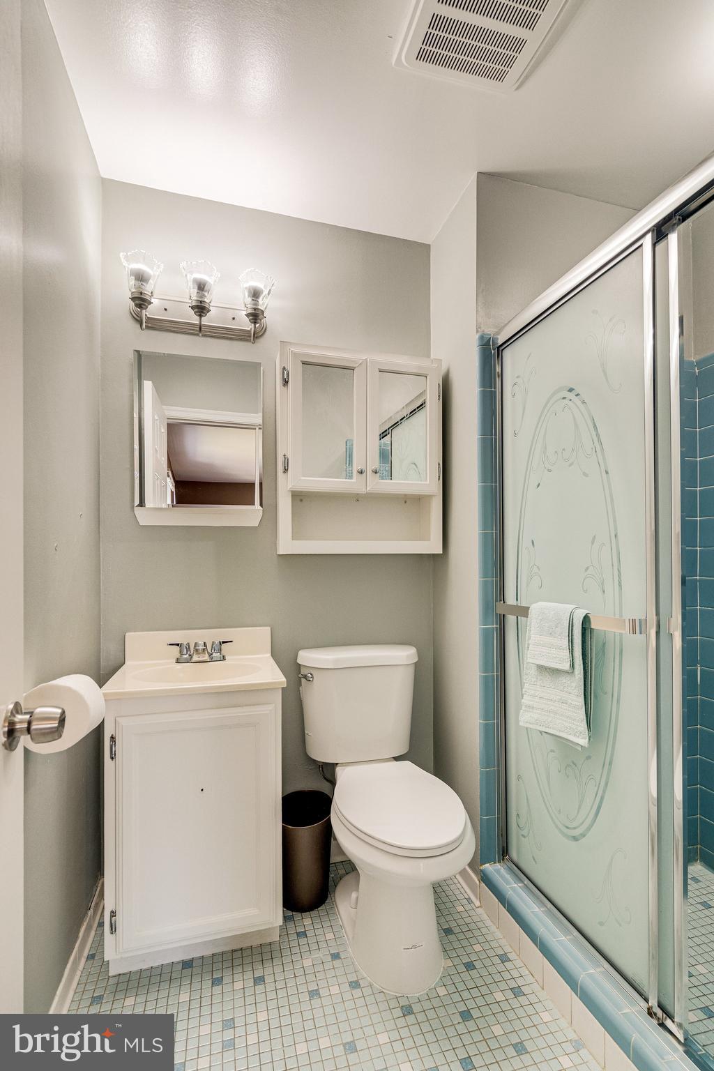 6217 Zekan Lane Springfield, VA 22150 - Photo 42 of 55 Ensuite bathroom