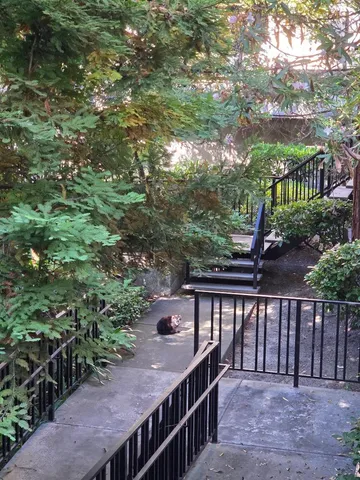 a view of a street with flower plants