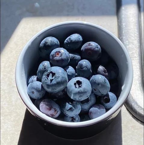 $515,000 | 11 North 675 West, Valparaiso, IN 46385