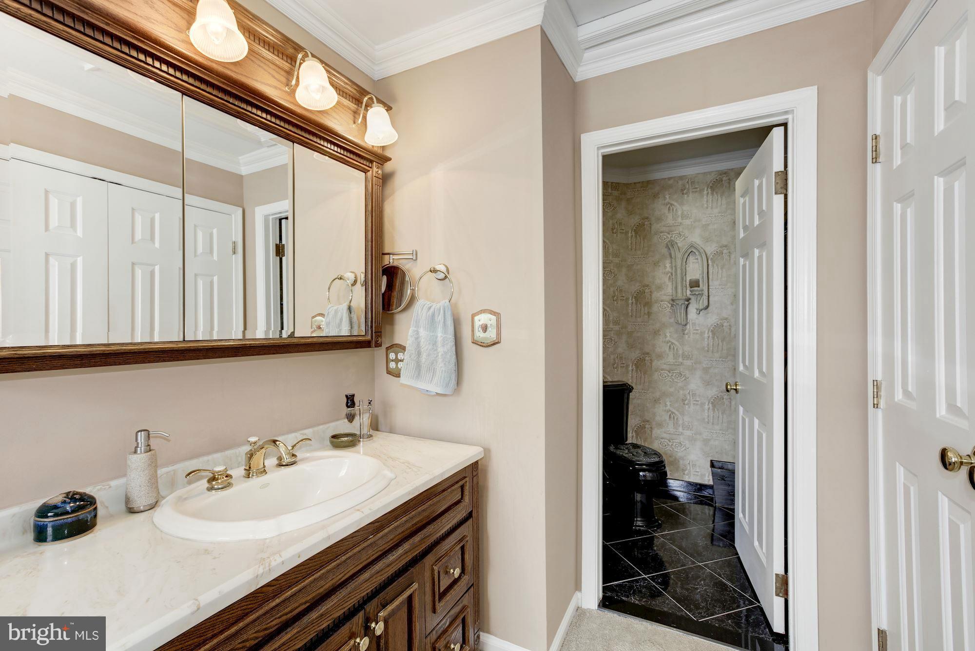 8308 Crown Court Road Alexandria, VA 22308 - Photo 12 of 30 Bath (Master)