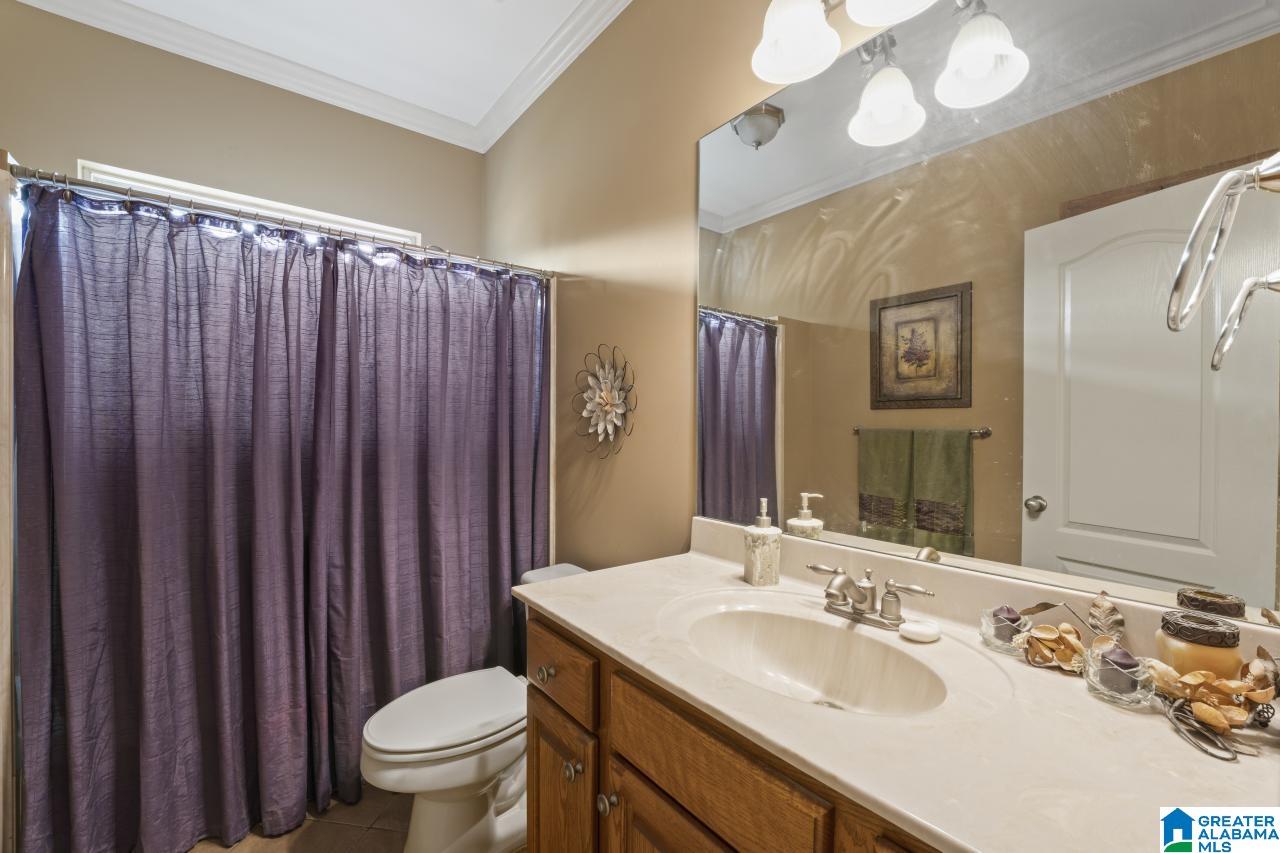 22562 Iron Masters Loop McCalla, AL 35111 - Photo 10 of 41