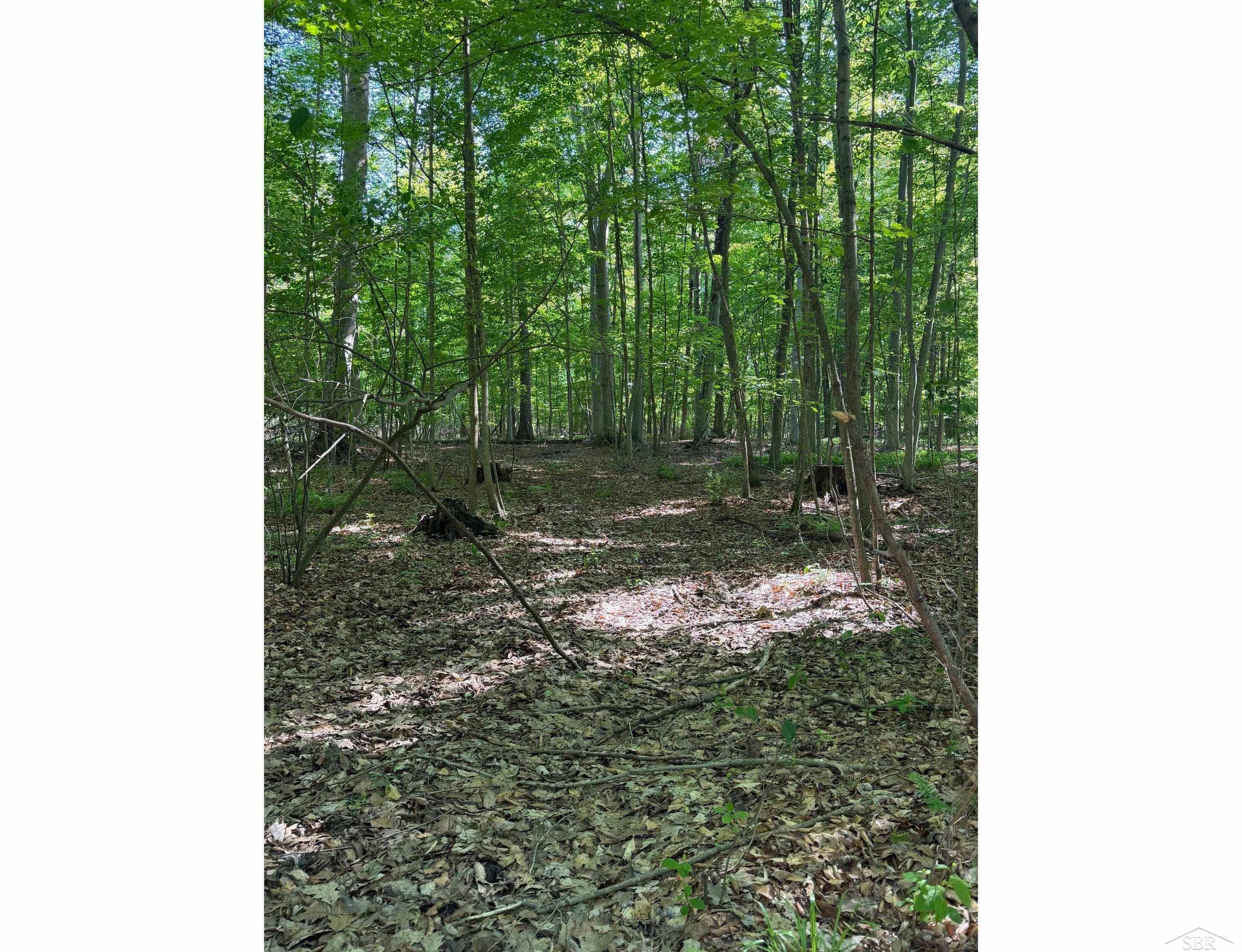 0 Lange Road Bridgeport, MI 48722 - Photo 2 of 11